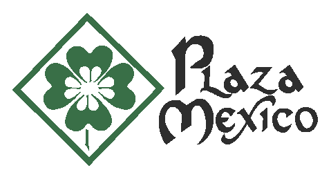 logo Centro Comercial Plaza México Guadalajara